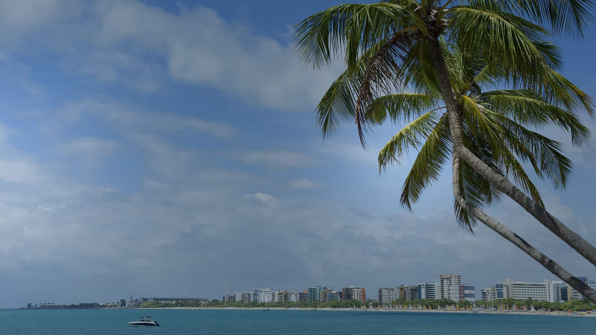 Curso de inglês e espanhol em Alagoas